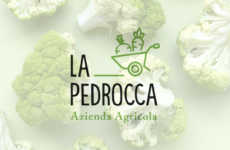La Pedrocca Azienda Agricola